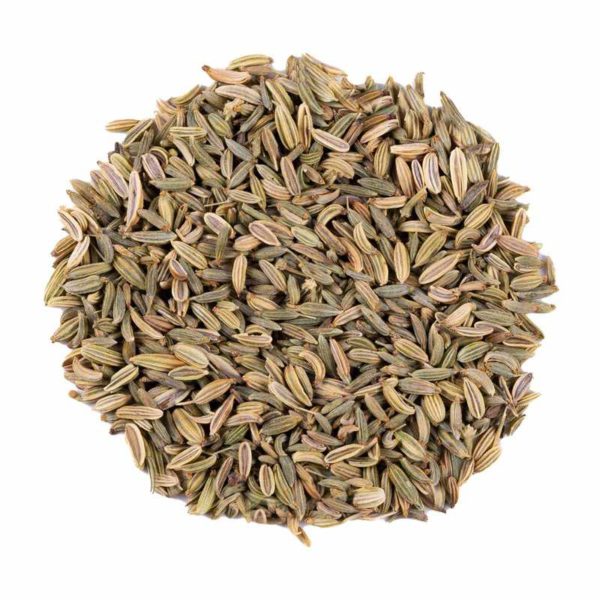 Fenouil Bio