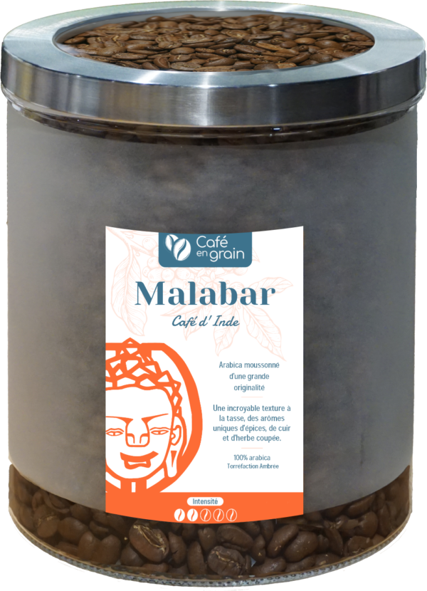 Café Inde MALABAR Région Karnataka