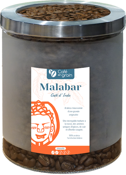 Café Inde MALABAR Région Karnataka