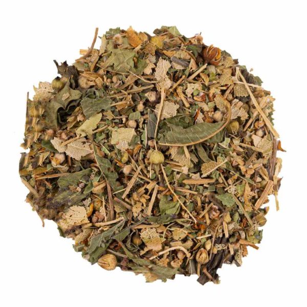 Tilleul-Menthe Bio