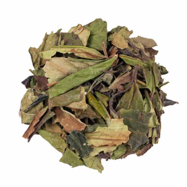 White Tea Superior Blend Bio